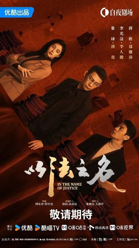以法之名 电视剧