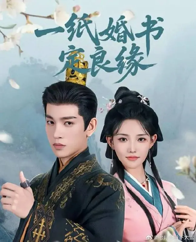 一纸婚书定良缘 电视剧